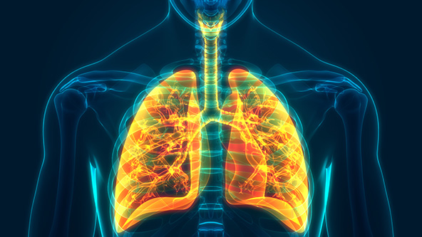 A new study for COPD